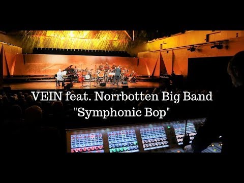 VEIN Feat Norrbotten Big Band